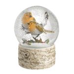 Robin snow globe